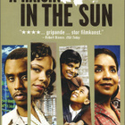 A Raisin In The Sun - DVD - pikkukuva 1