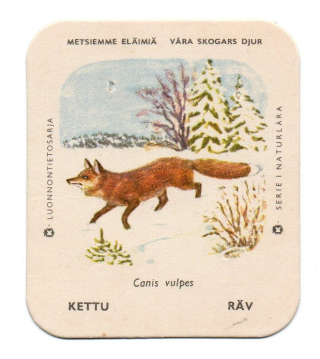 Kahvilappu Kettu isompi kuvakoko