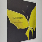 Noora Steenvoorden : Kaleidoskooppi (signeerattu) - pikkukuva 1