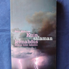 Hiltunen, Petri: Kuin salaman leimahdus - pikkukuva 1