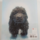 Rachael Hale : Dogs : 101 adorable breeds - pikkukuva 2