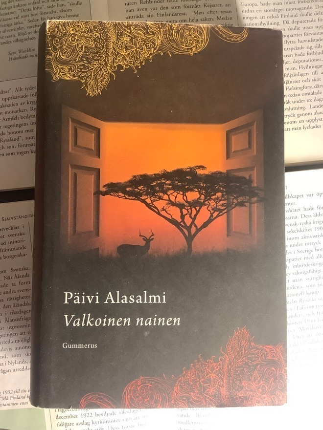 Päivi Alasalmi - Valkoinen nainen (sid.)