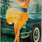 Pin-up kylttejä 5 kpl - pikkukuva 2
