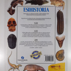 William Lindsay : Esihistoria - pikkukuva 2