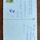 Pääsiäisen krookukset, PT 251/4 - pikkukuva 2