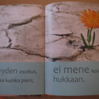 Mielenrauhaa - ajatuksia ja aforismeja - pikkukuva 2