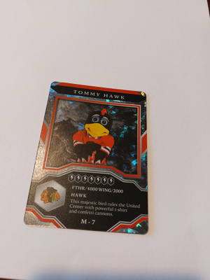 2021-22 UD MVP Mascot Gaming Cards Sparkle #M7 Tommy Hawk