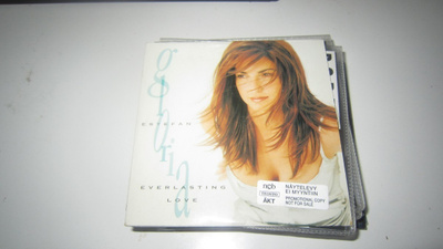 Gloria Estefan – Everlasting Love