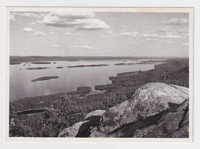 Lieksa: Koli