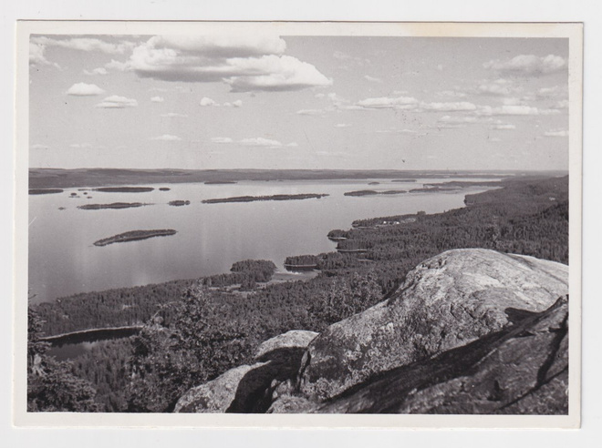 Lieksa: Koli