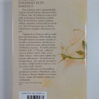 Dorothy Eden : Enemmän kuin rakkaus - pikkukuva 2