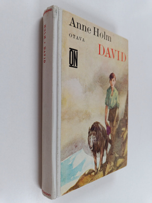 Anne Holm : David