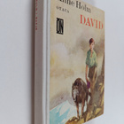 Anne Holm : David - pikkukuva 1