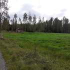 Peltoa 3 ha + metsää n. 0,5 ha - pikkukuva 3