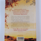 Khaled Hosseini : Tuhat loistavaa aurinkoa - pikkukuva 2