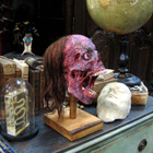 Uniikki makaaberi kallo ”Freddy´s cousin” - pikkukuva 2