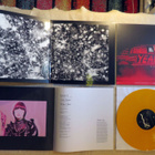 YEAH YEAH YEAHS: Cool it Down LP (Kelt vinyyli, vihko, Inner - pikkukuva 2