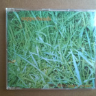 Supperheads - Life´s Just A Picnic CDS - pikkukuva 1