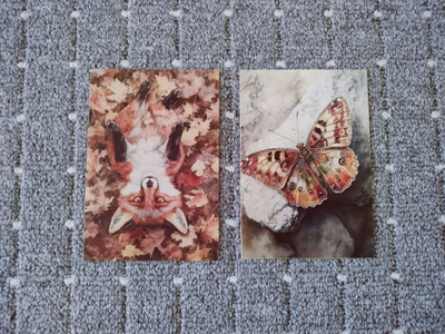 ~Eläin kortti~ 2kpl