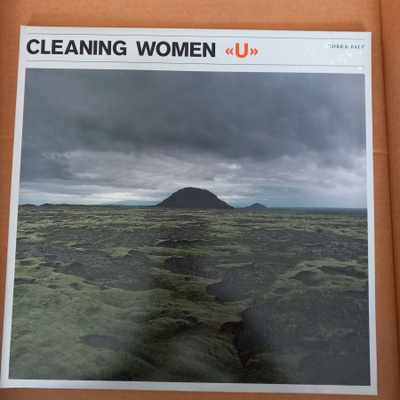 Cleaning woman >>[LP]