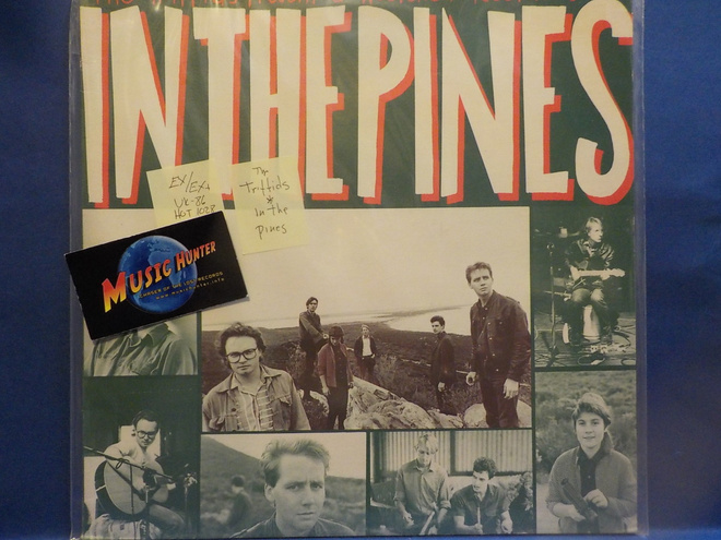 THE TRIFFIDS - IN THE PINES - UK 1986 EX/EX+ LP