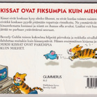 Beverly Guhl: Miksi kissat ovat fiksumpia kuin miehet - pikkukuva 2