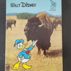 Aku Ankka Disney värityskirja 60-luku - pikkukuva 1