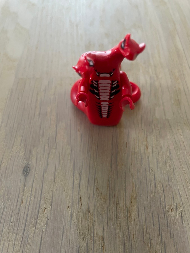 LEGO - Ninjago NJO0049: Fangtom - General