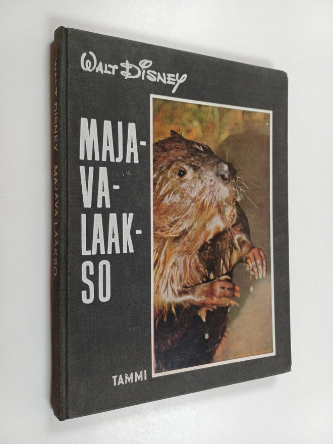 Walt Disney : Majavalaakso