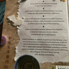 KIINALAISTEN ROHDOSTEN SALAT - pikkukuva 2