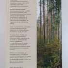 Kaino Tuokko : Metsänparantajat kansakunnan asialla 1908-... - pikkukuva 2