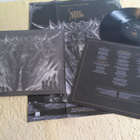 SONNE ADAM - Transformation LP - pikkukuva 1