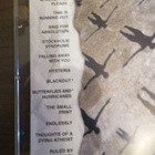 Muse: Absolution CD - pikkukuva 2