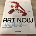 Art Now, vol. 2 (kirja, eng.) - pikkukuva 1