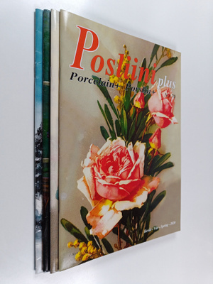 Posliini plus vuosikerta 2020 (4 nroa)