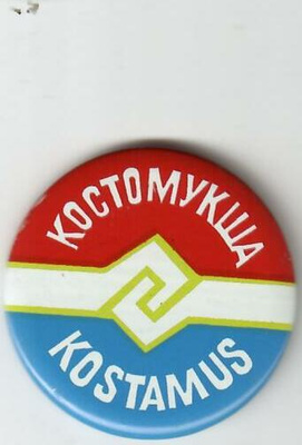 Kostamus pinssi