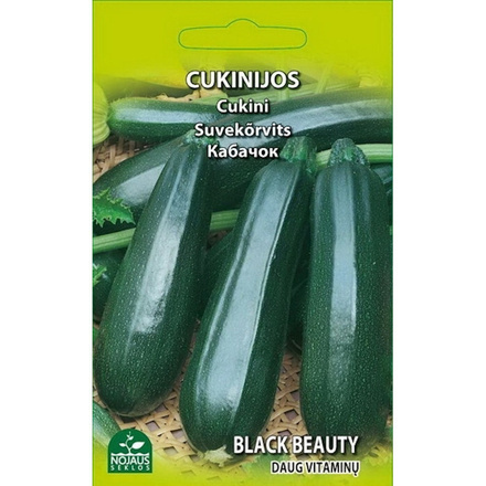 Kesäkurpitsa "Black Beauty" - siemenet #