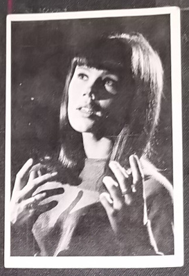 Champion Pop - Anki Lindqvist