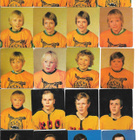 Erä Williams 1972-73 jääkiekkokortteja, yli 250 kpl - pikkukuva 5