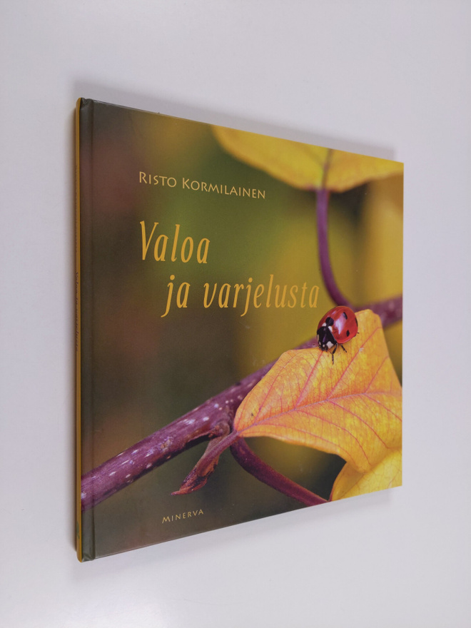 Risto Kormilainen : Valoa ja varjelusta
