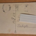 tytöllä pupu sylissä, kulkenut 1948 - pikkukuva 2
