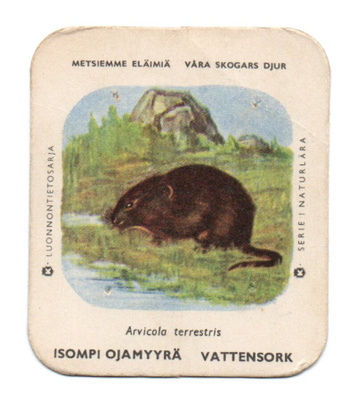 Kahvilappu ISOMPI OJAMYYRÄ Isompi kuvakoko