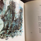 CHARLES BAUDELAIRE: PAHAN KUKKIA - pikkukuva 2