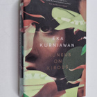 Eka Kurniawan : Kauneus on kirous - pikkukuva 1