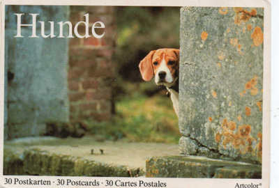 BEAGLE POSTIKORTTI