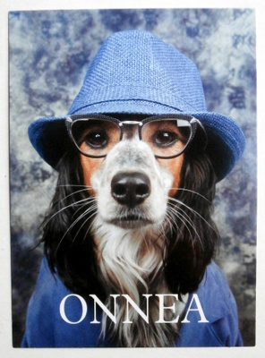 Koira hattu päässä - uusi onnittelukortti