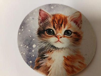 Kissa kuvallinen,mukinalunen,kuvat on.