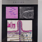 Michael H. Ross : Histology : a text and atlas - pikkukuva 2