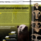 TIETEEN KUVALEHTI n:o 5 2020 Katso Sisällysluettelo & Kuvat - pikkukuva 3