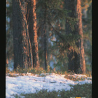 Suomi vuosilajitelma 1989** - pikkukuva 4
